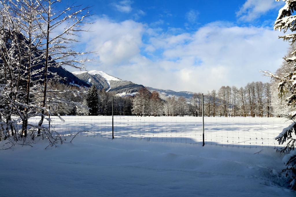 Prielau By We Rent, Summercard Included Zell am See